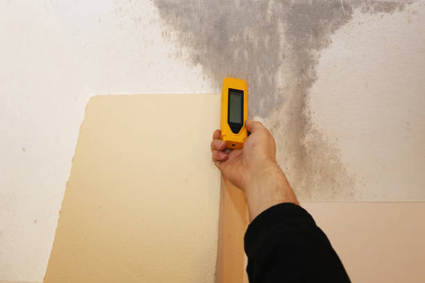 Mold Removal for HVAC Installations in Sandy Hook, CT