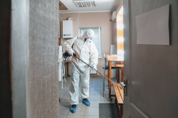 Professional Mold Removal in Sandy Hook, CT