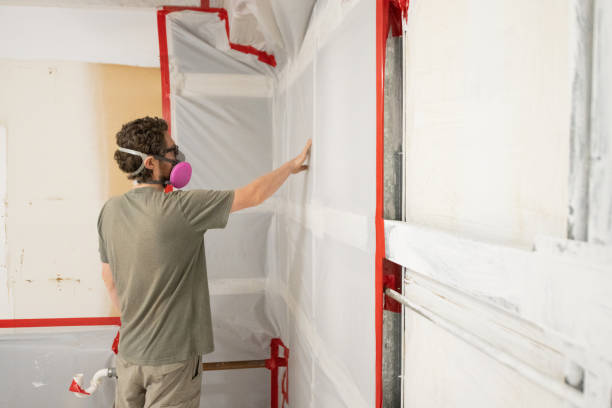 Best Dehumidification Services  in Sandy Hook, CT