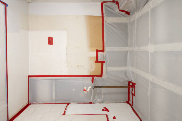 Best Mold Damage Restoration  in Sandy Hook, CT