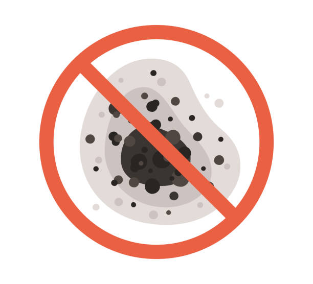 Best Biohazard Mold Removal  in Sandy Hook, CT