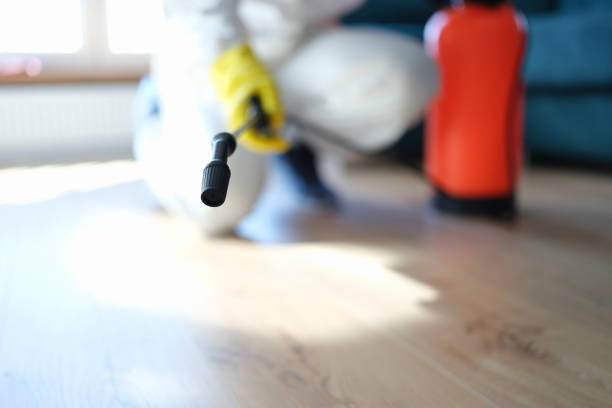 Best Mold Remediation for Vacation Homes  in Sandy Hook, CT