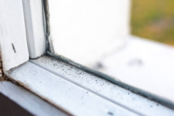 Forensic Mold Investigation in Sandy Hook, CT