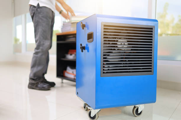 Best Basement Mold Removal  in Sandy Hook, CT