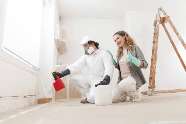 Best Industrial Mold Remediation  in Sandy Hook, CT
