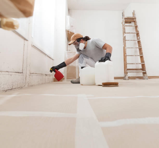 Best Post-Construction Mold Inspection  in Sandy Hook, CT