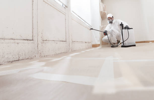 Mold Remediation for Vacation Homes in Sandy Hook, CT